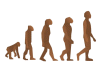 human_evol2-100x72xp02